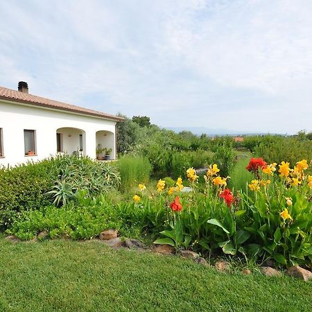 Agriturismo Mulinu Betzu San Vero Milis Екстериор снимка